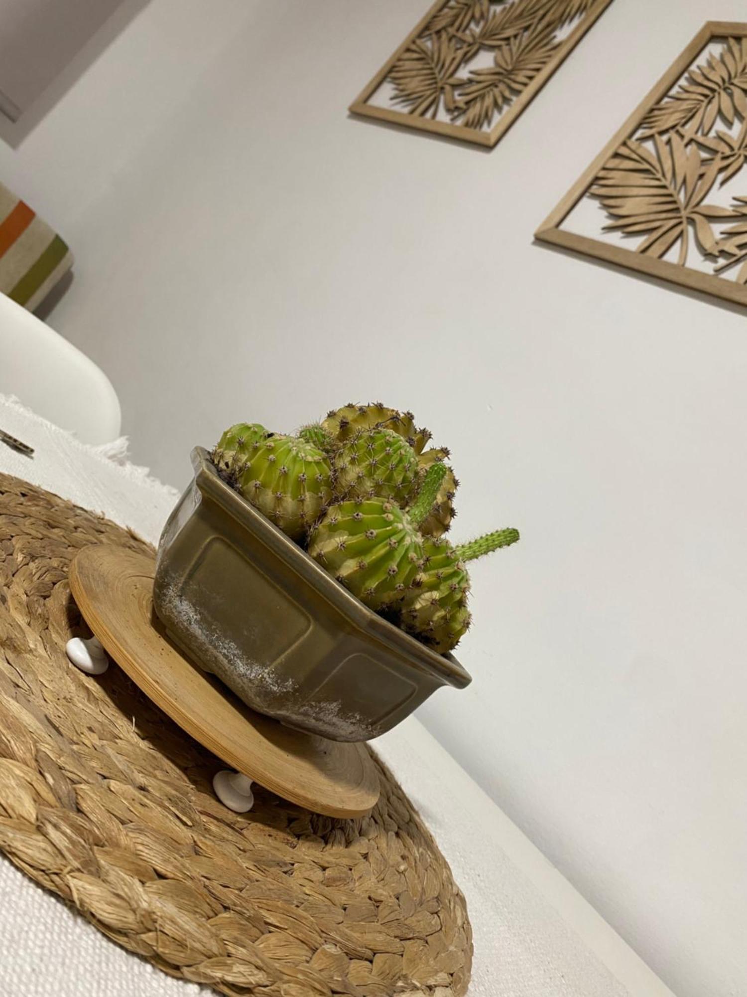 מאלגה Apartamento Vistafranca מראה חיצוני תמונה